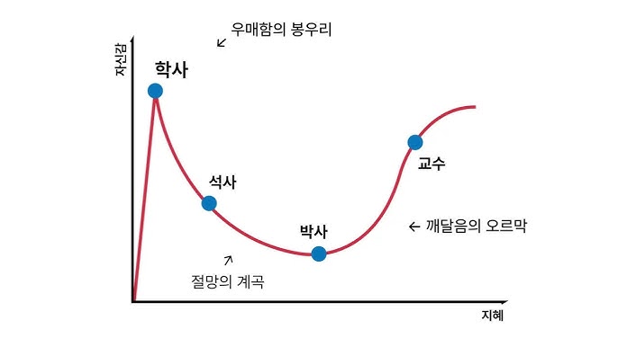 학사,석사,박사,교수 차이 짤